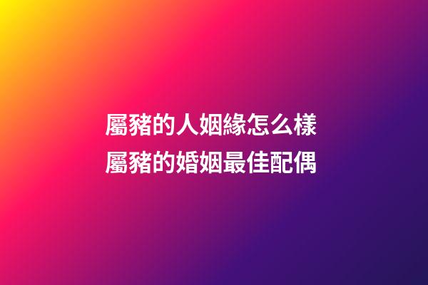 屬豬的人姻緣怎么樣 屬豬的婚姻最佳配偶-第1張-觀點-玄機派